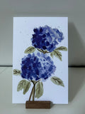 XL hortensia