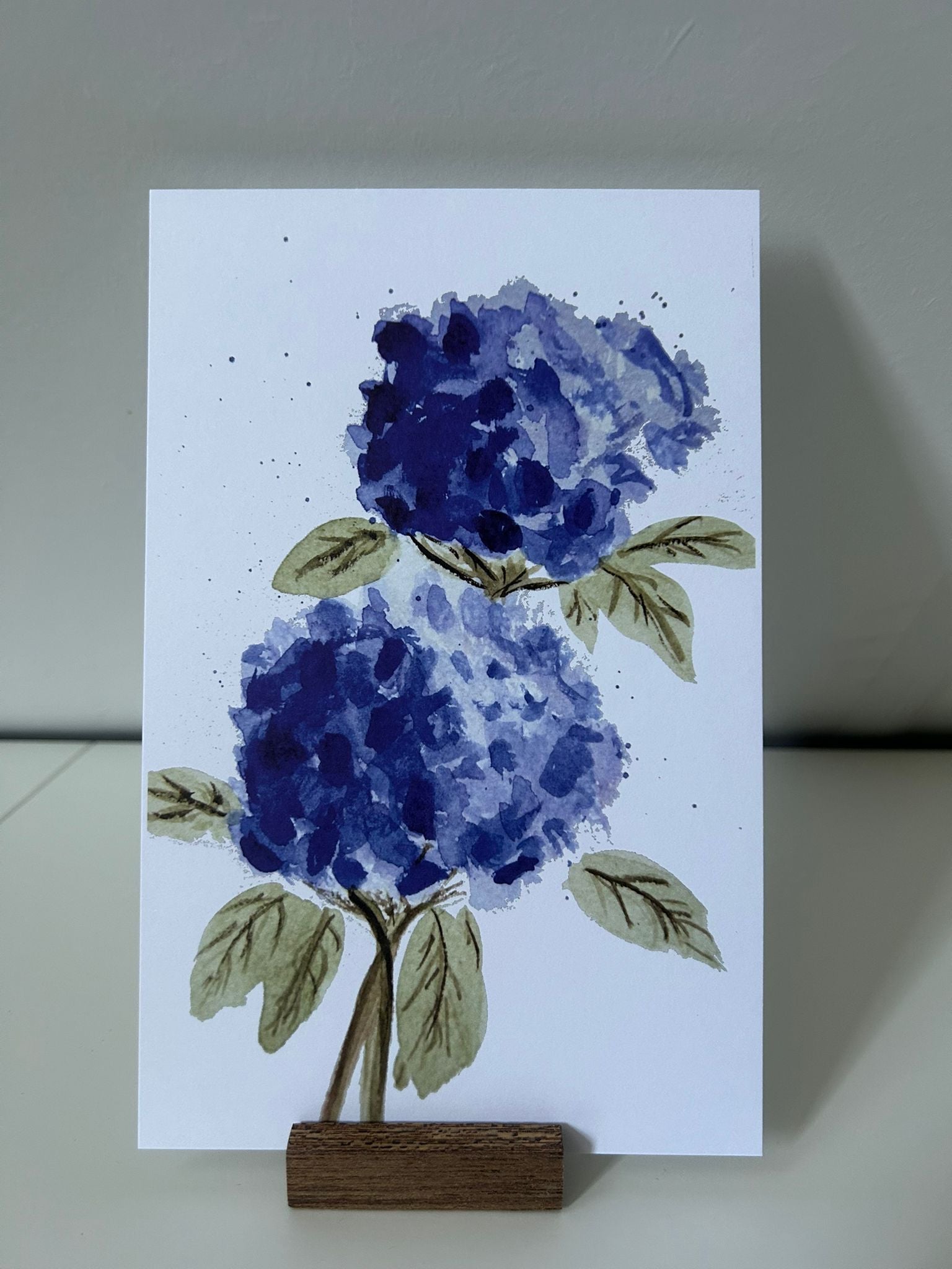 XL hortensia