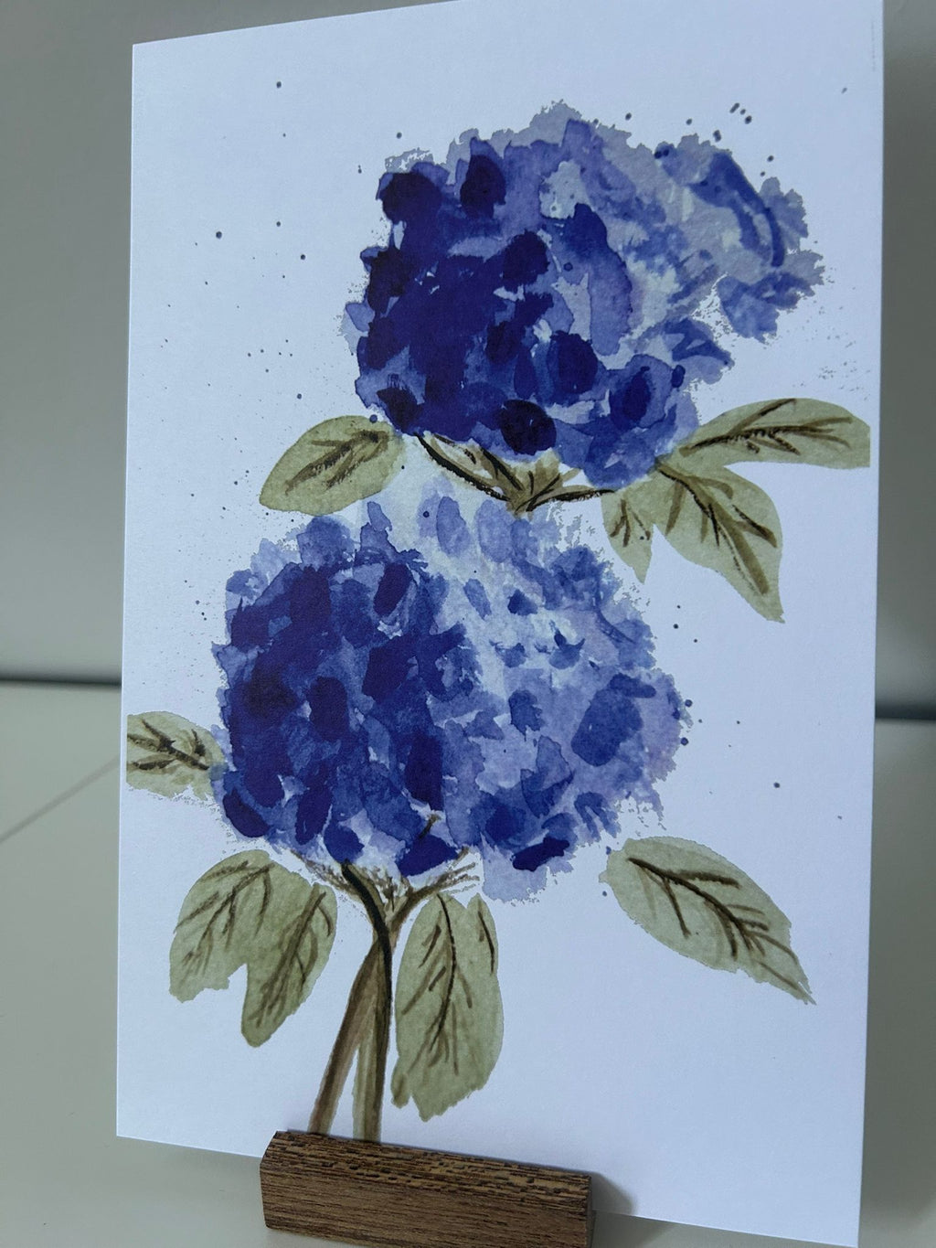 XL hortensia