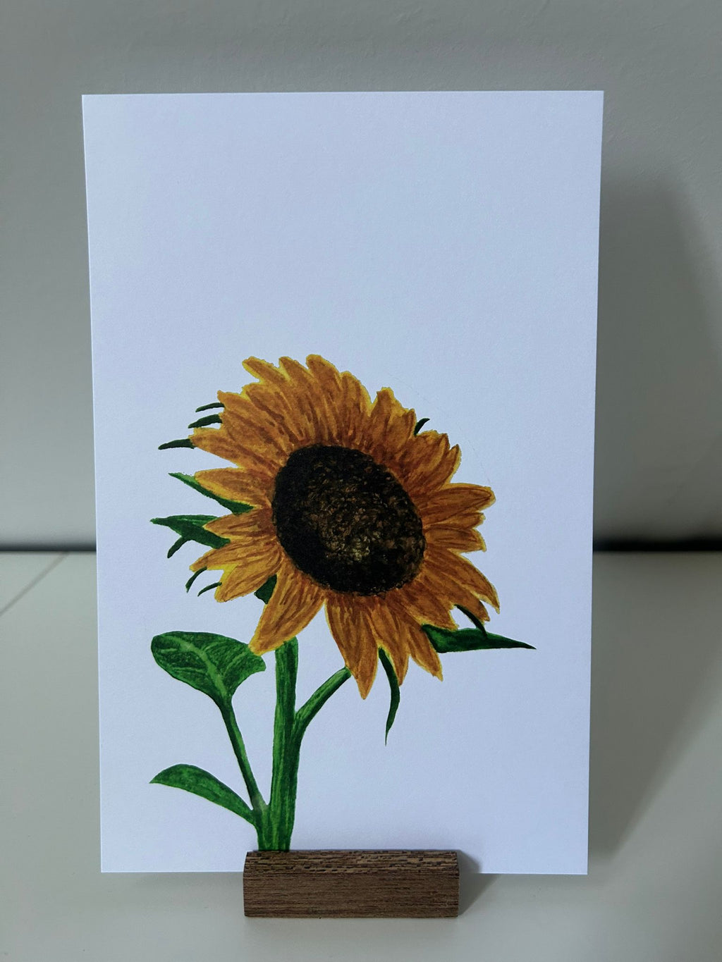 XL zonnebloem