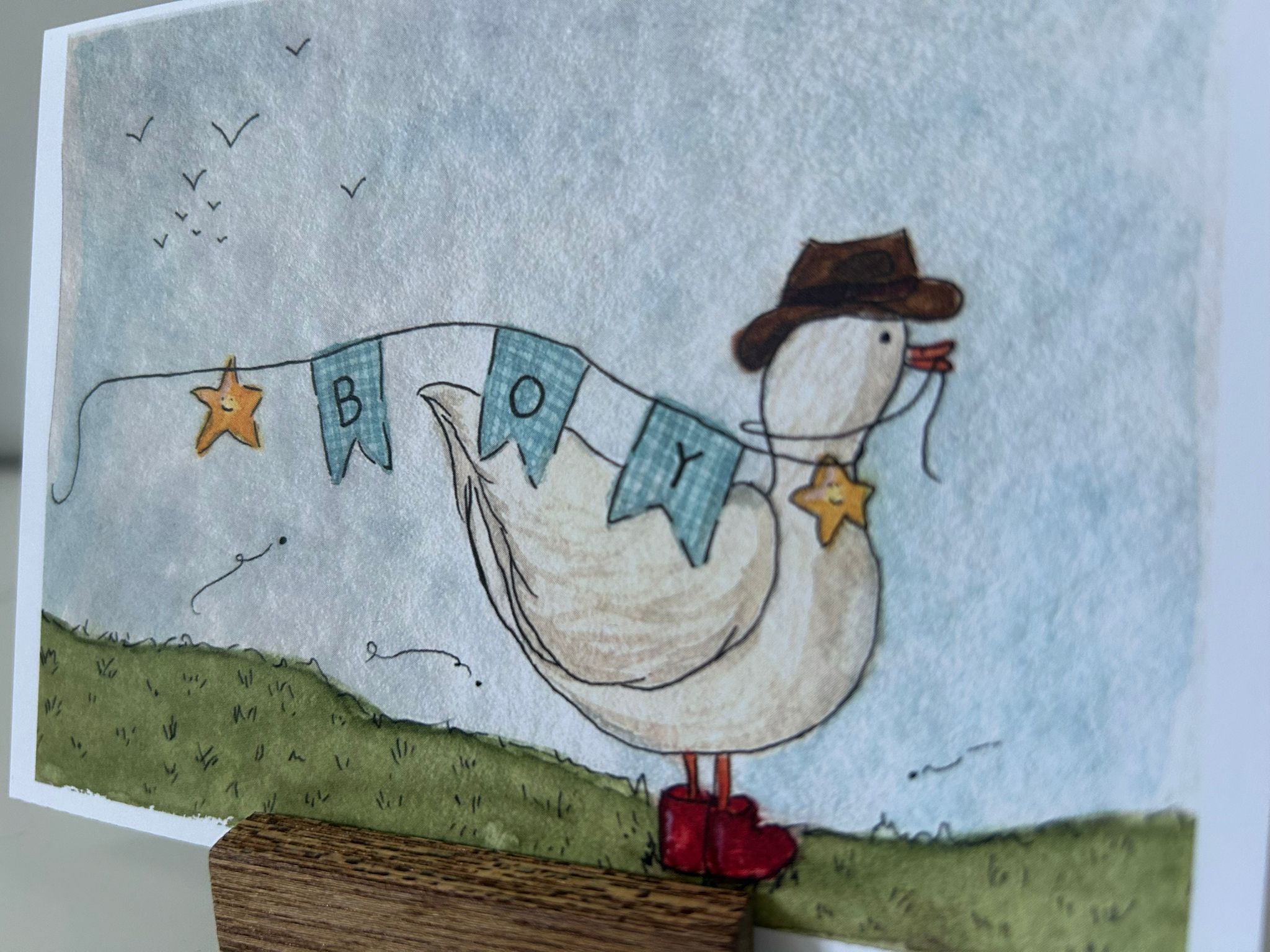 Geboortekaartje Boy eendje